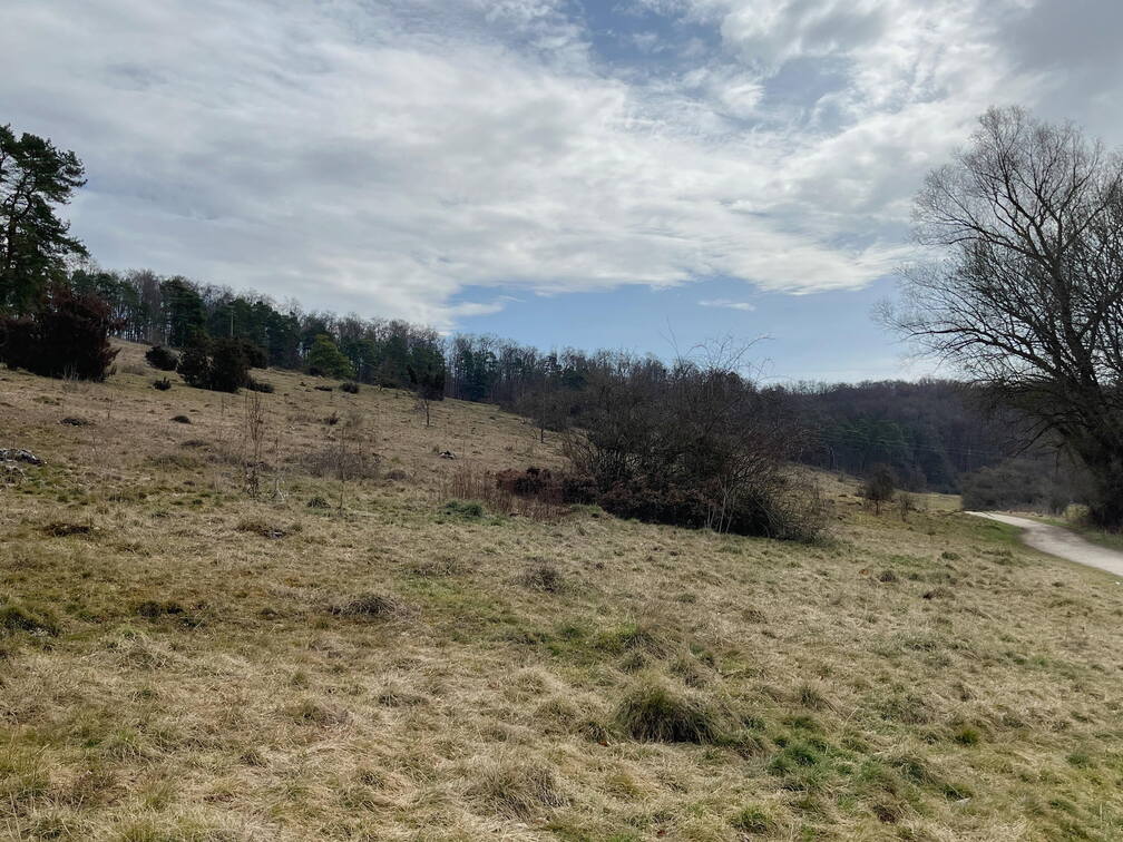 25-03-22 10-34-43 2505